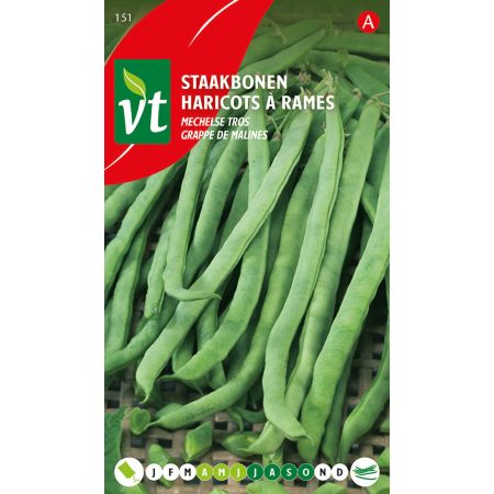 Haricots A Rames Marche De Malines - Boon Staakboon Mechelse Tros