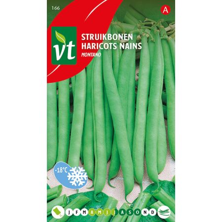 Haricots Nains Montano - Boon Struikboon Montano