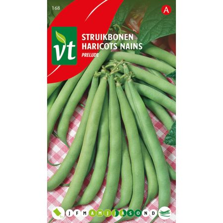 Haricots Nains Prelude - Boon Struikboon Prelude