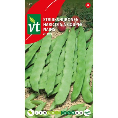 Haricots A Couper Nains Atlanta - Bonen Atlanta