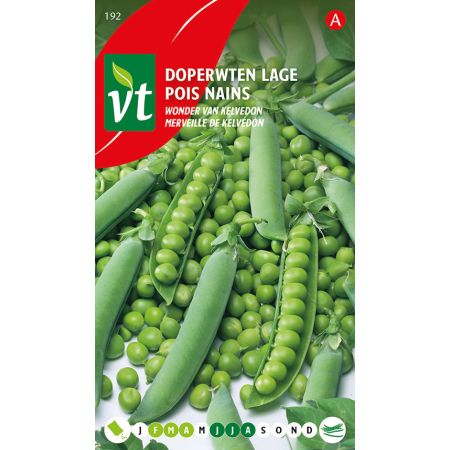 Pois Nains Merveille De Kelvedon - Erwt Doperwt Wonder Van Kelvedon