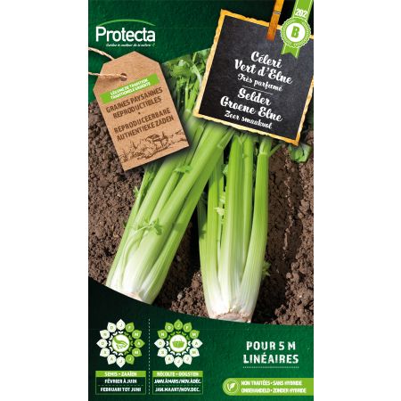 Céleri Vert d'Elne- Protecta Graines paysanne