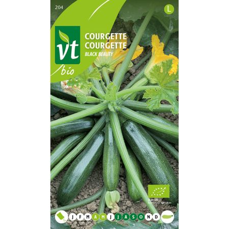 Bio Courgette Black Beauty - Courgette Black Beauty Bio
