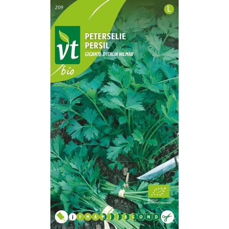 Bio Persil Commun Hilmar - Peterselie Gigante d'Italia Hilmar