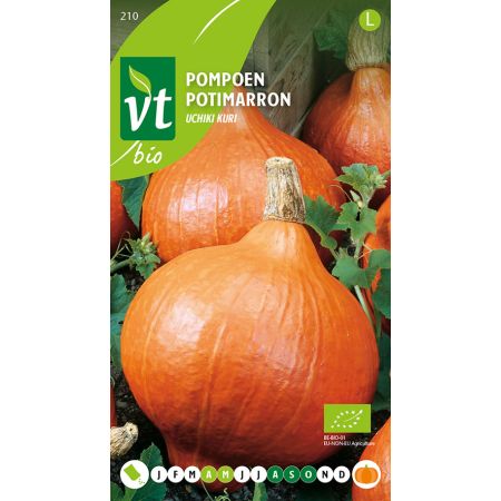 Bio Potimarron Uchiki Kuri - Pompoen Uchiki Kuri Bio