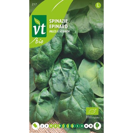 Bio Epinard Palco F1 Hybride - Spinazie Palco F1 hybride Bio
