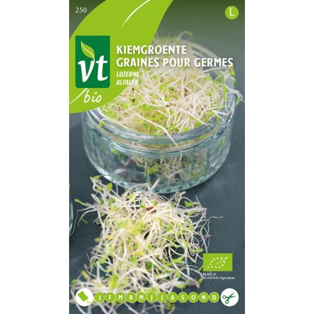 Graines Pour Germes Alfalfa