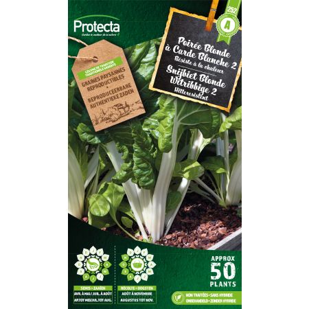 Poirée Blonde à Carde Blanche 2 – Protecta Graines paysanne