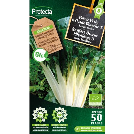 Poirée Verte à Carde Blanche 3 Bio - Protecta Graines paysanne