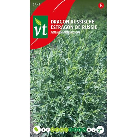 Estragon Russe - Dragon Russische