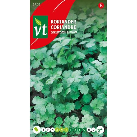 Coriandre - Koriander