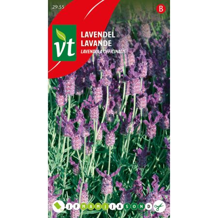 Lavande - Lavendel