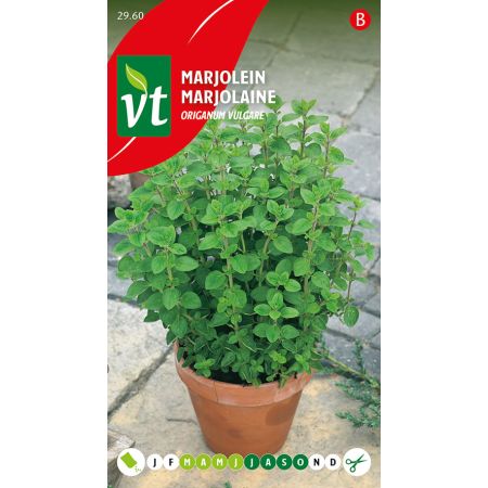 Marjolaine - Marjolein