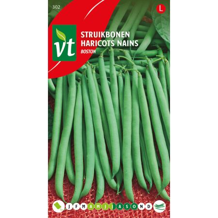 Haricots Nains ampere