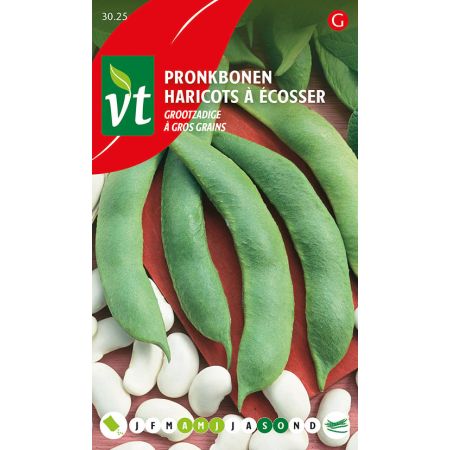 Haricots A Ecosser A Gros Grains Boite - Pronkbonen Grootzadige doosje