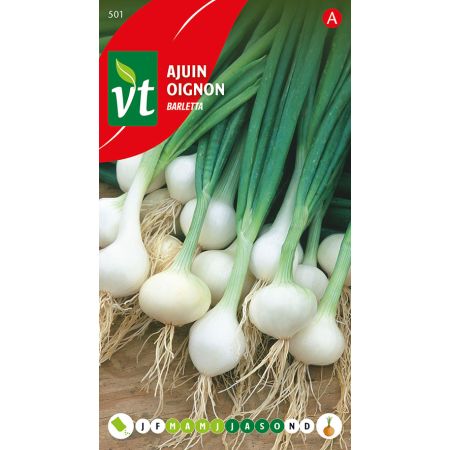 Oignon Barletta          - Ajuin Barletta