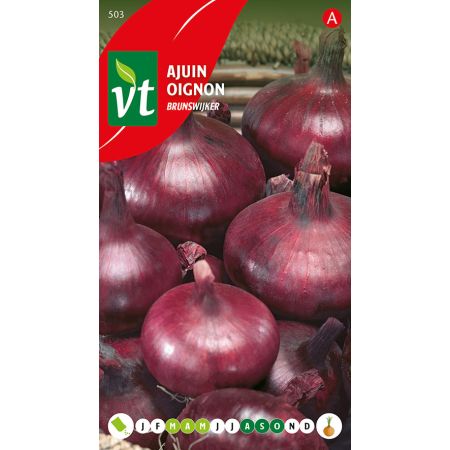 Oignon Brunswijker - Ajuin Brunswijker