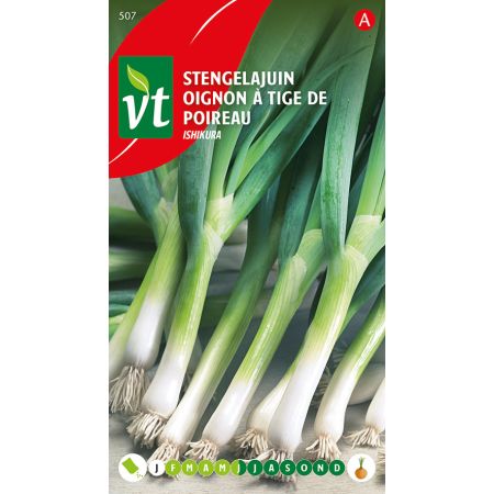 Oignon A Tige De Poireau Ishikura Long White - Ajuin Stengelajuin Ishikura