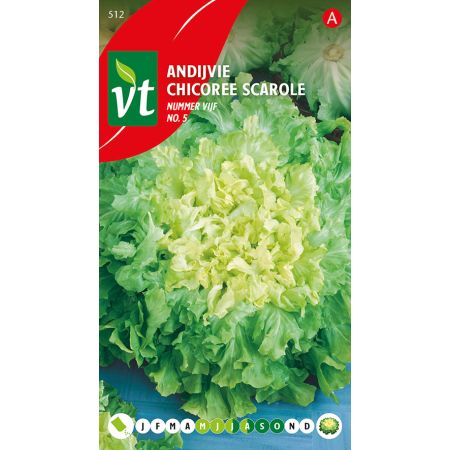 Chicoree Scarole No 5 - Andijvie Nummer Vijf