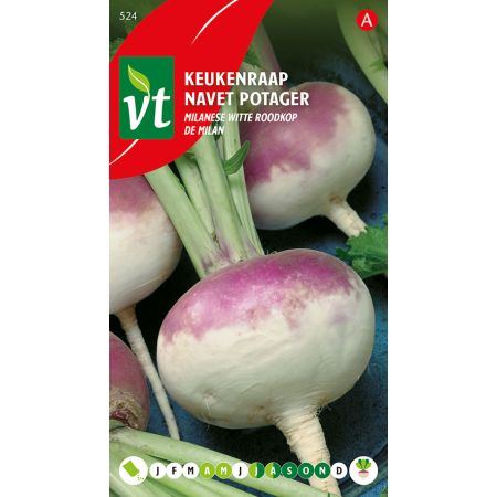 Navet Potager De Milan - Keukenraap Milanese witte roodkop