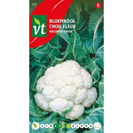 Chou-Fleur Walcheren Winter - Bloemkool Walcheren Winter
