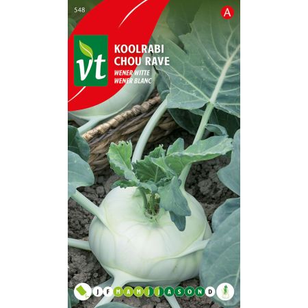 Chou Rave Wener Blanc - Koolrabi Wener witte