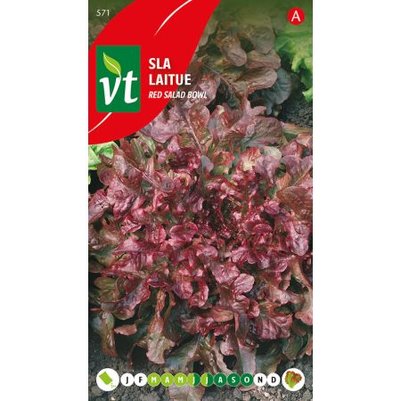 Laitue Red Salad Bowl - Sla Pluksla Red Salad Bowl