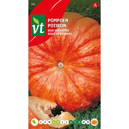 Potiron Rouge Vif D'Etampes - Pompoen Rode Van Etampes