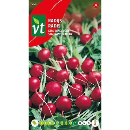 Radis Saxa, Rond Ecarlate - Radijs Saxa Ronde Rode