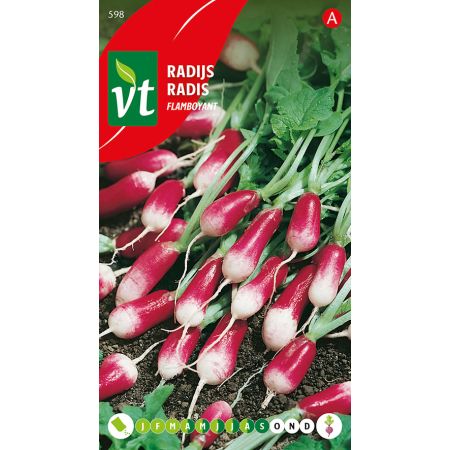 Radis Flamboyant - Radijs Flamboyant Halflang