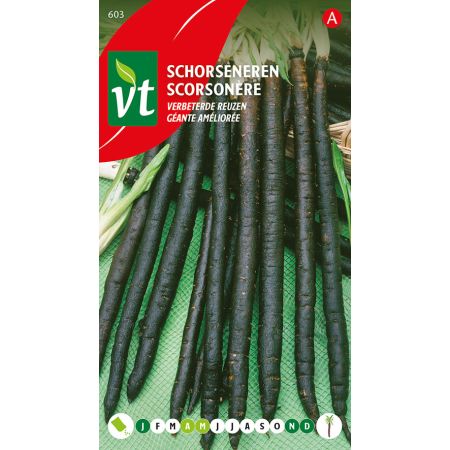 Scorsonere Geante Amelioree - Schorseneren Verbeterde Reuzen