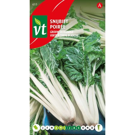 Poiree Verte A Carde Blanche       - Snijbiet Groene witribbige