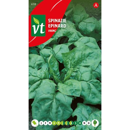 Epinard Viking - Spinazie Viking Zomer