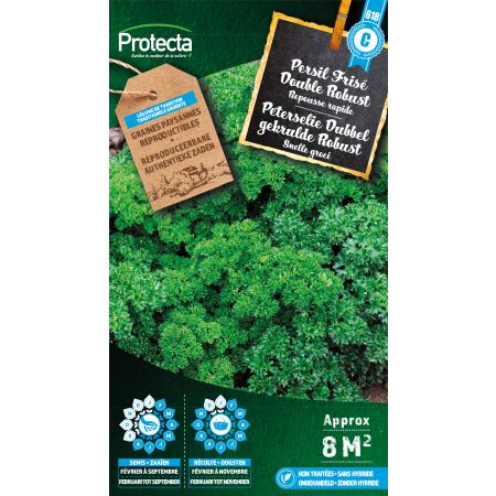 Persil Frisé Double Robust – Protecta Graines paysanne
