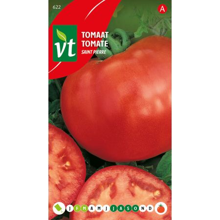 Tomate Saint Pierre - Tomaat Saint Pierre