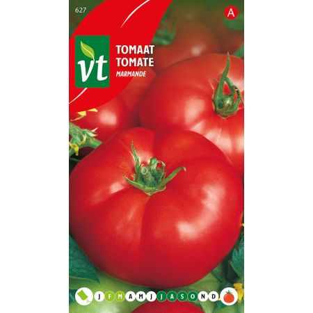Tomate Marmande - Tomaat Marmande