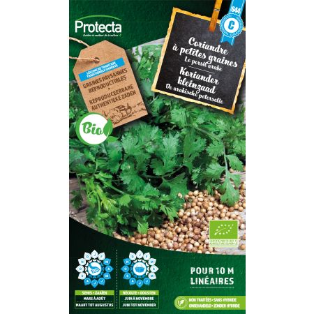 Coriandre à petites graines Bio - Protecta Graines paysanne