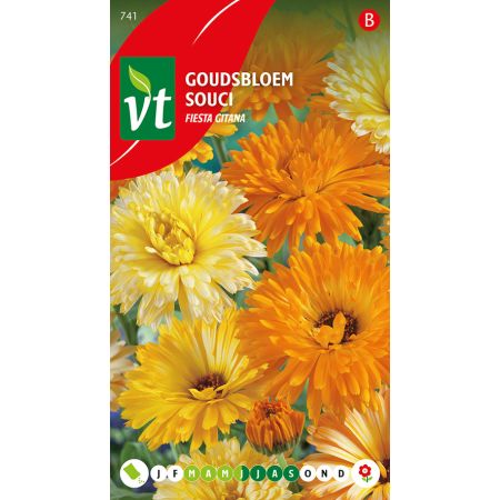 Souci Calendula Fiesta Gitana - Goudsbloem Calendula Fiesta Gitana