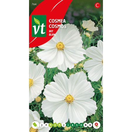 Cosmea Blanc - Cosmea Wit