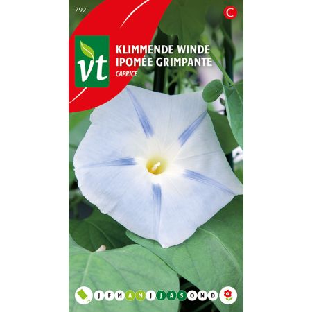 Ipomee Grimpante Caprice - Klimmende Winde Caprice