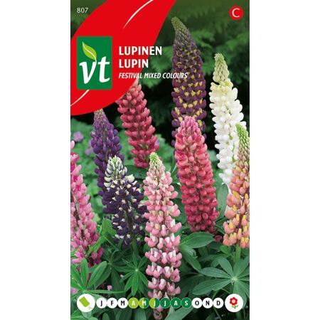 Lupine Mix Couleurs - Lupine Mixed Colours