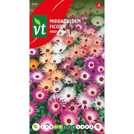 Ficoide Varie - Middagbloem Gemengd