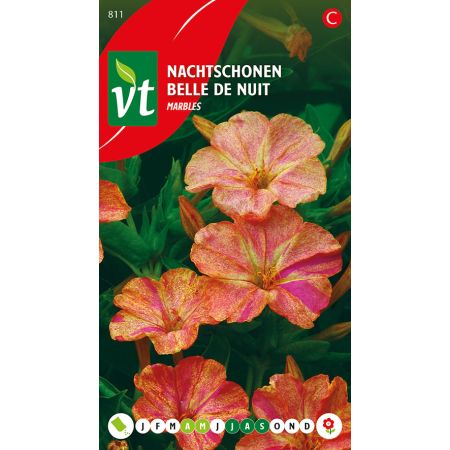 Belle De Nuit Marbles - Nachtschonen Marbles