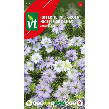 Nigelle De Damas Indigo Et Light Blue Mix - Juffertje In 'T Groen Indigo En Light Blue Mix