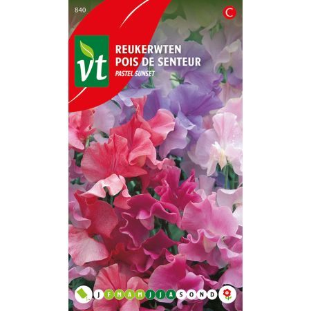 Pois De Senteur Pastel Mix - Reukerwt Pastel sunset
