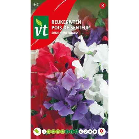 Pois De Senteur Royal Mix - Reukerwten Royal Mix