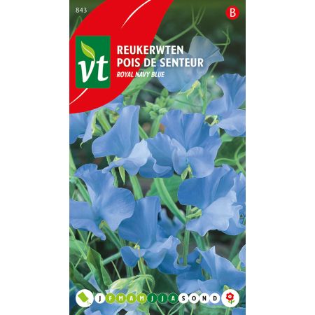 Pois De Senteur Navy Blue - Reukerwten Navy Blue
