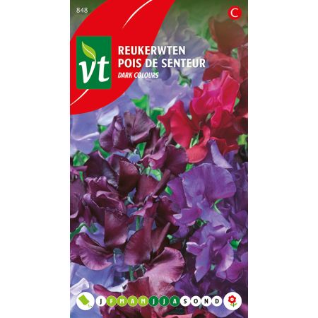Pois De Senteur Dark Mix - Reukerwten Dark Mix