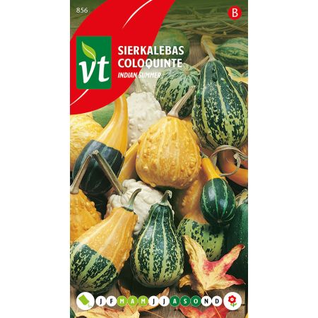 Coloquinte Indian Summer Mix - Sierkalebas Indian Summer Mix