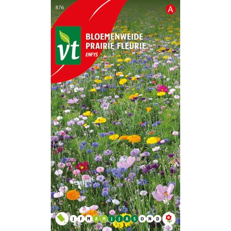 Espace Fleuri Enfys - Bloemenweide Enfys